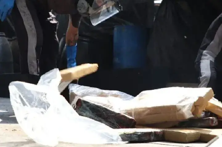 DF retira 50 toneladas de drogas das ruas em sete anos