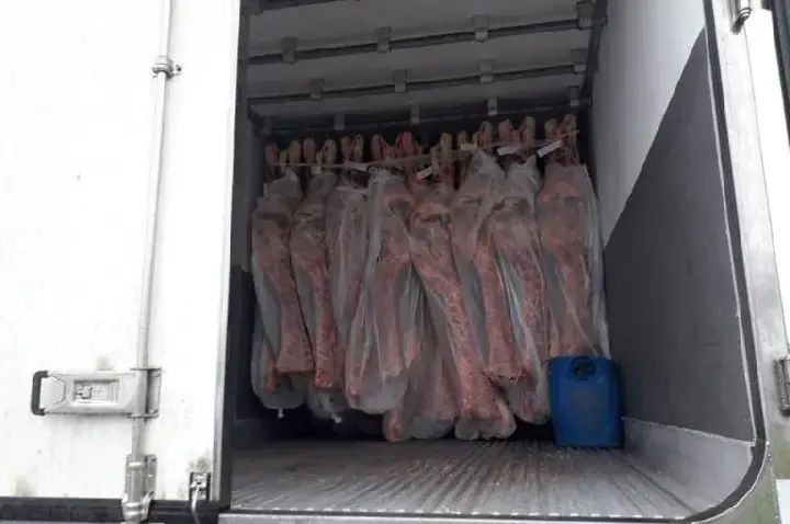 Homem é condenado por transportar 529 kg de cocaína em carga de carne em Goiás