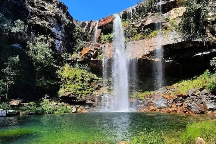 Passeio em família acaba com criança atacada por onça na chapada dos Veadeiros