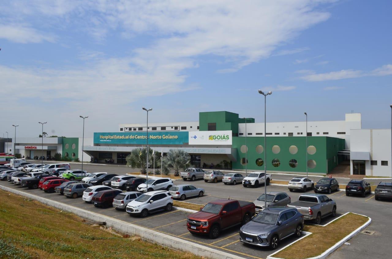 HCN alerta sobre aumento de acidentes envolvendo escorpiões
