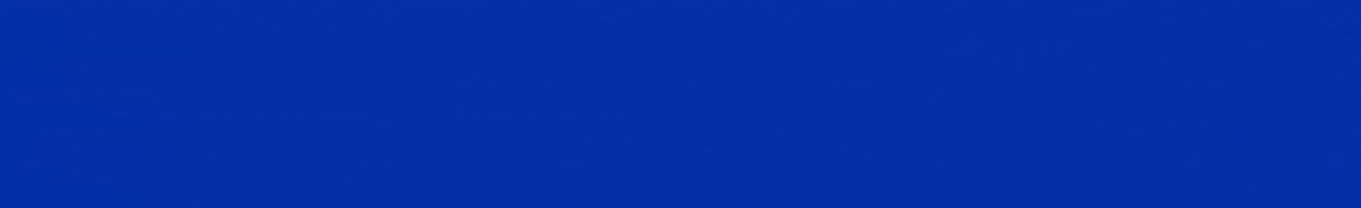 King Pizzaria & Choperia