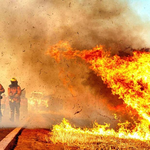 Incêndios florestais diminuem 54% no DF no primeiro semestre de 2025