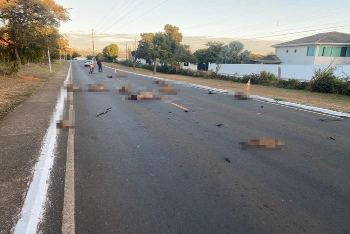 Treze capivaras são mortas ao serem atropeladas por carreta no Lago Sul