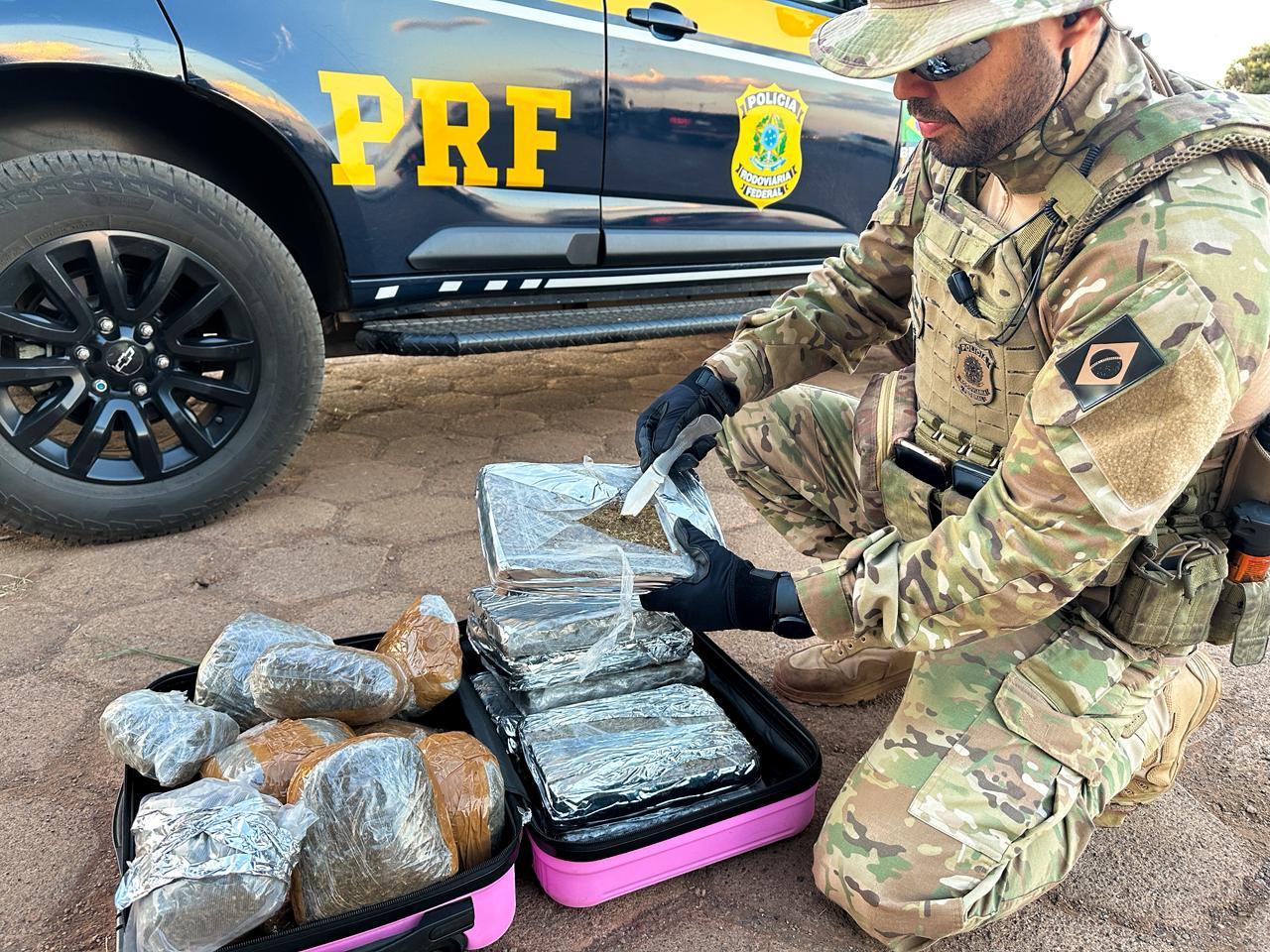 Cães da PRF participam de apreensão de 12 kg de skunk em Planaltina/DF