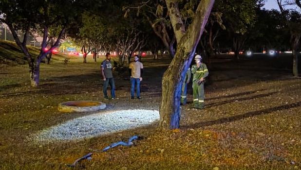 Corpo carbonizado é encontrado em bueiro na Asa Sul, no DF; Neoenergia fala em possível tentativa de furto de cabos
