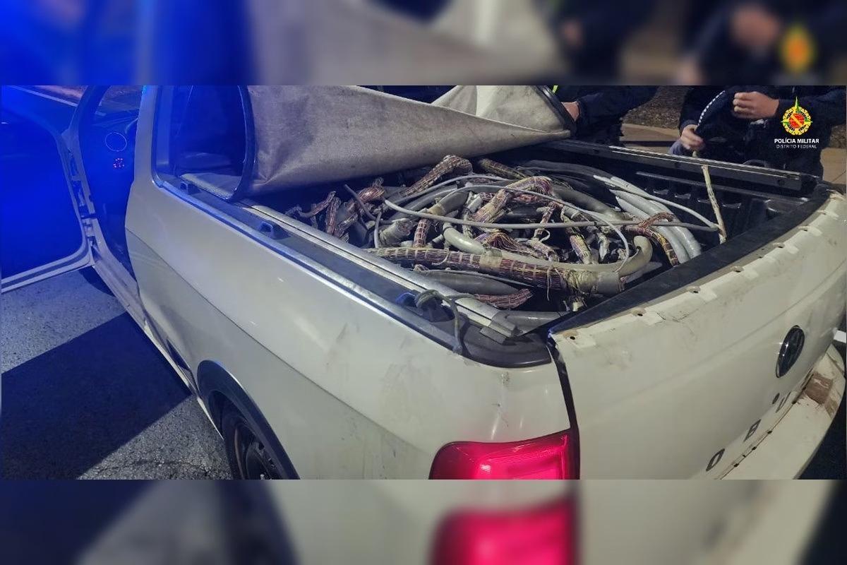 Dupla veste uniforme de empresa para furtar fios e cabos na Octogonal