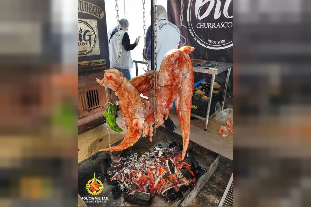 Polícia civil apreende carne de jacaré durante evento de gastronomia no DF