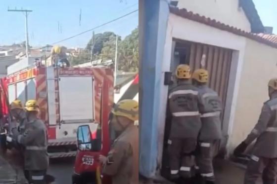 Idosa morre após ser atacada por cão da raça pit bull em Anápolis