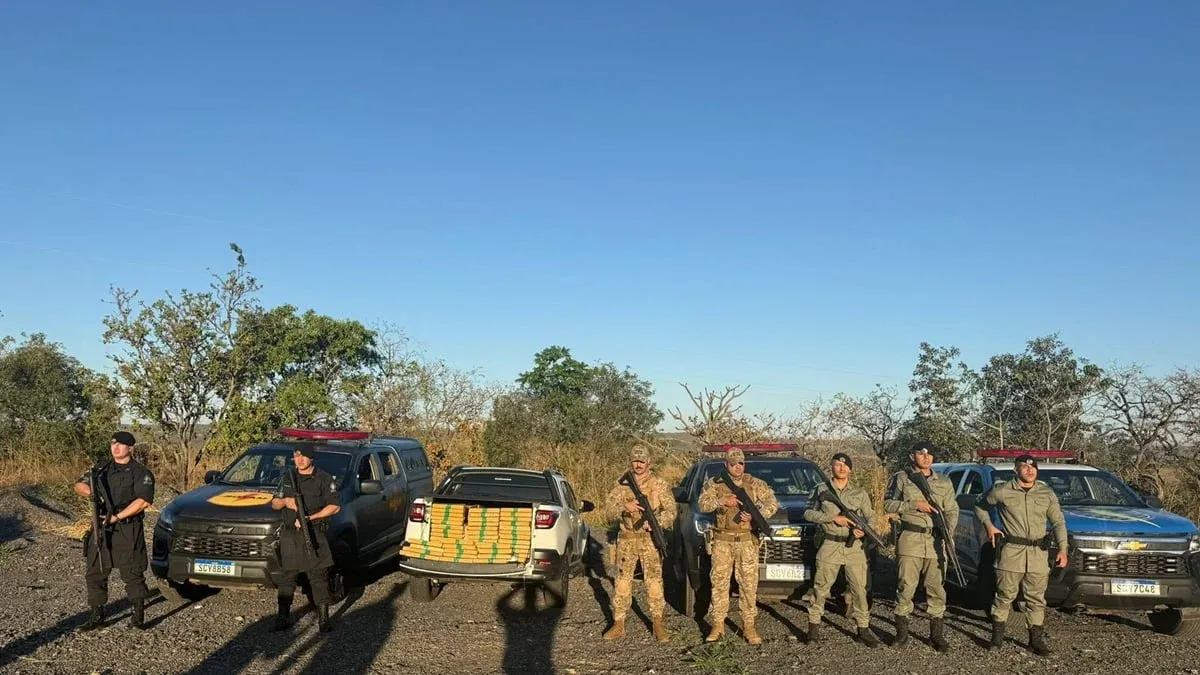 Operação conjunta apreende meio milhão de reais em maconha na região Leste de Goiás