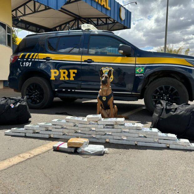 PRF apreende mais de 30 kg de drogas em ônibus no Recanto das Emas
