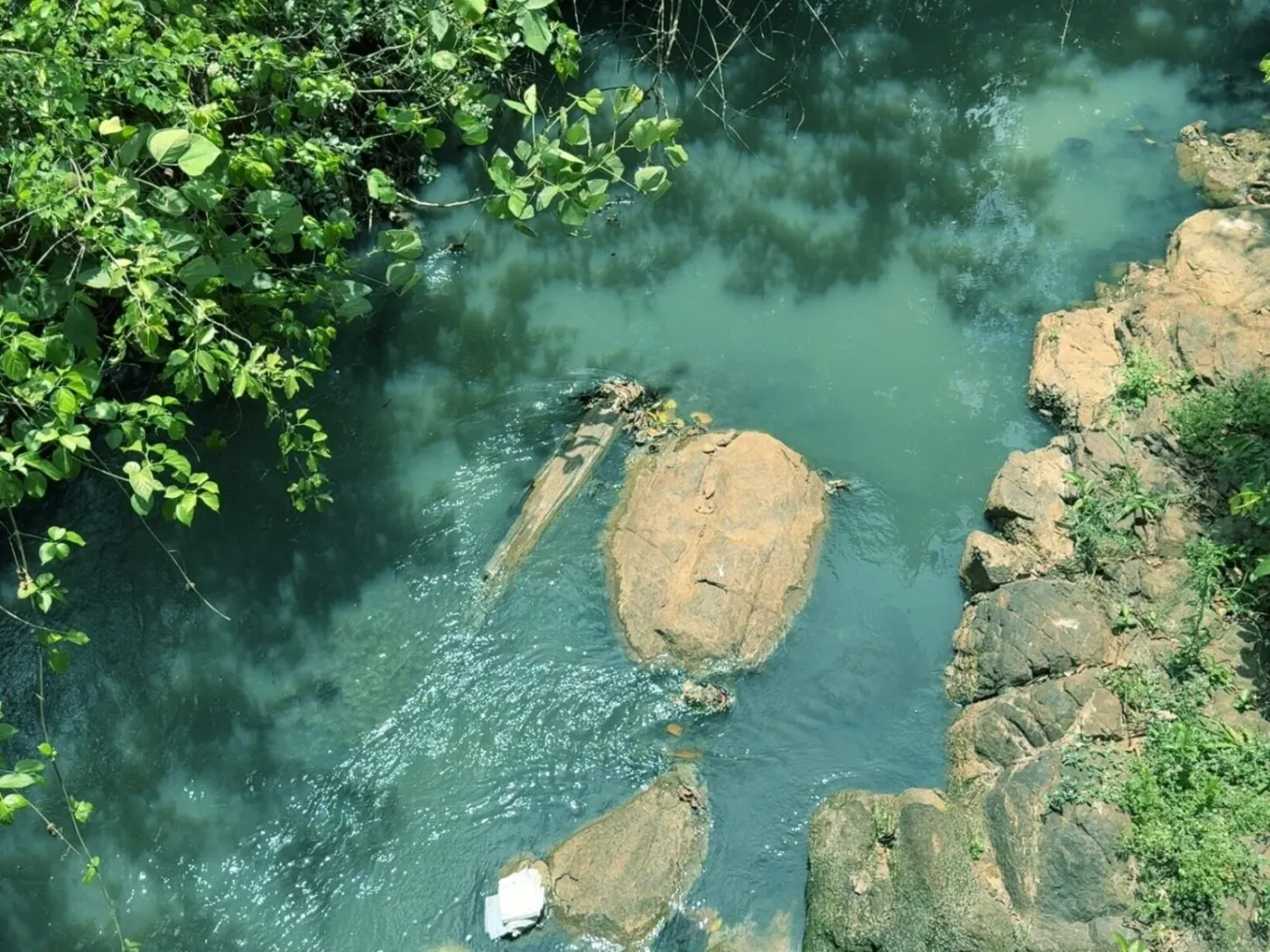 Pesquisa detecta substância tóxica em peixes capturados em córrego de Goiás