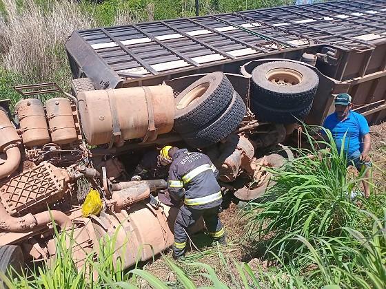 Carreta que transportava Gado tomba motorista fica ferido e 15 animais morrem