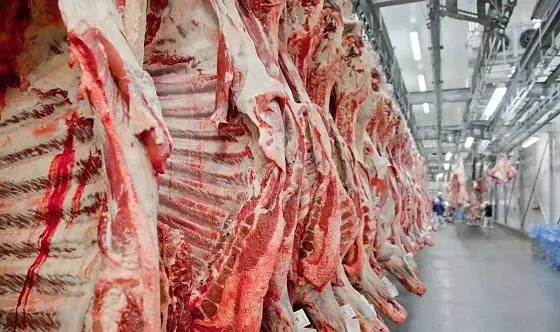 Com exportações em alta, Goiás tem saldo de R$ 2 bilhões em novembro