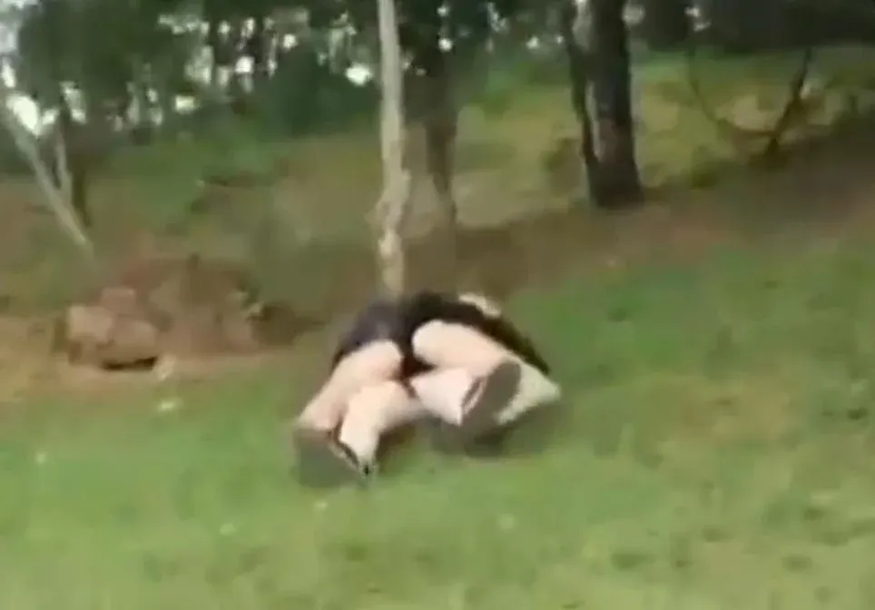 Bêbados, casal são convidados a se retirarem de parque em cidade Ocidental