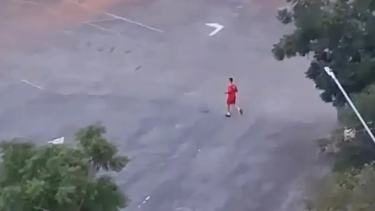   Cachorros de rua atacam Bombeiro durante atividade física e um acaba morto á tiros em Goiás