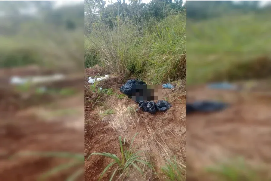 Cães são encontrados mortos dentro de sacos em Novo Gama