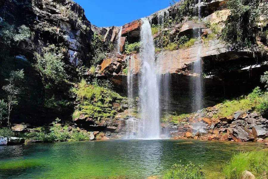 Passeio em família acaba com criança atacada por onça na chapada dos Veadeiros