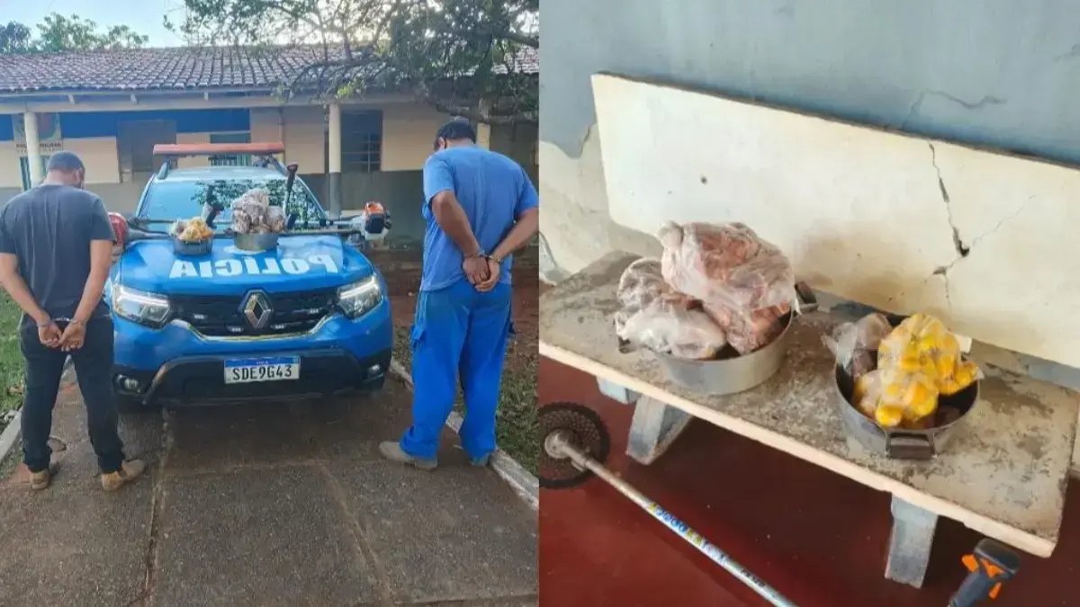 Homens embriagados furtam galinhas caipiras e pequi de propriedade rural em Goiás