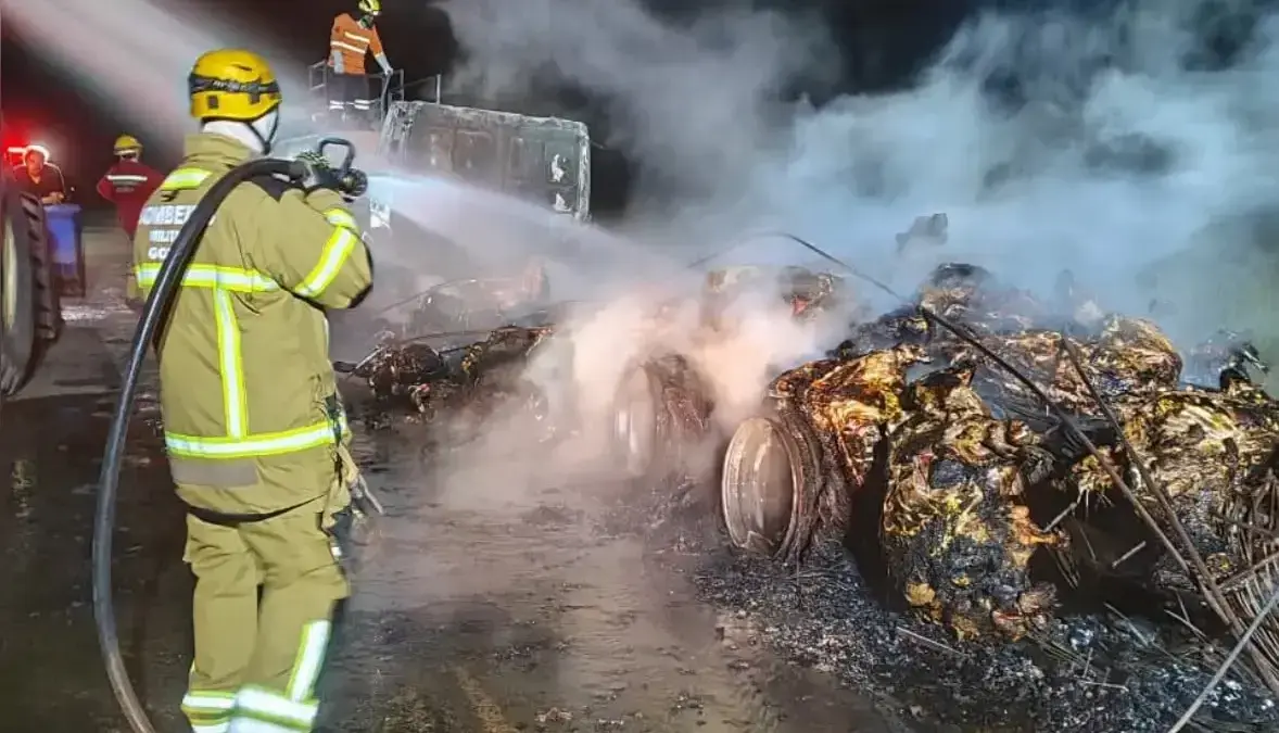 Cerca de 53 bezerros que eram transportados em Caminhão Boiadeiro morrem carbonizados durante incêndio em caminhão