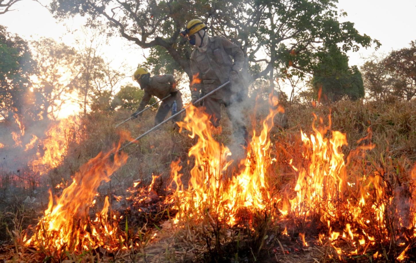Governo de Goiás orienta população sobre prevenção a incêndios em áreas urbanas