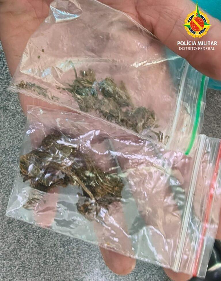 Mulher é levada à delegacia após PM encontrar plantação de maconha em residência de Ceilândia