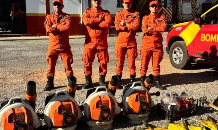 Bombeiros reforçam equipes para combater incêndios em vegetação no Nordeste de Goiás .
