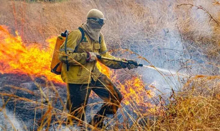 Goiás reduz em mais de 50% área queimada e lança plataforma com IA para monitoramento climático e de incêndios