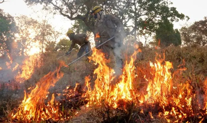 Governo de Goiás orienta população sobre prevenção a incêndios em áreas urbanas