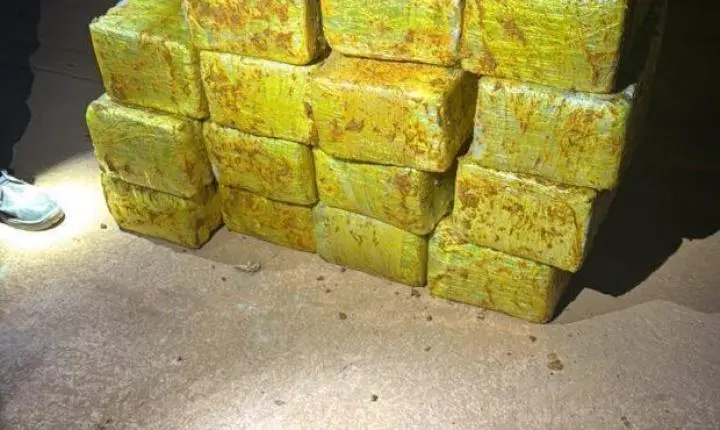 PMDF apreende cerca de 300 kg de maconha escondidos em caminhão na Ponte Alta